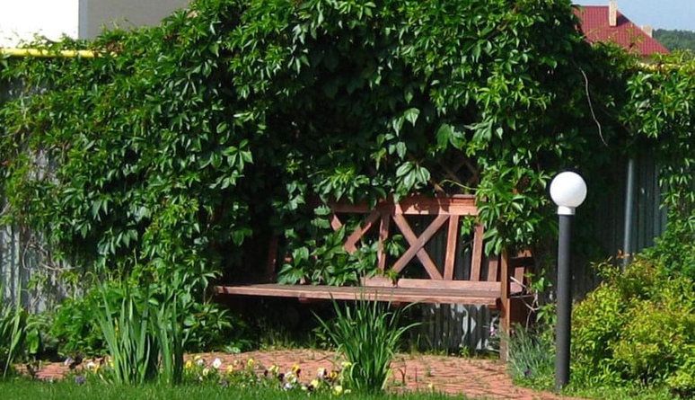 pergola