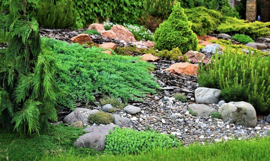 Каменный сад — прекрасное украшение для вашего дачного участка - ЗеленГрад