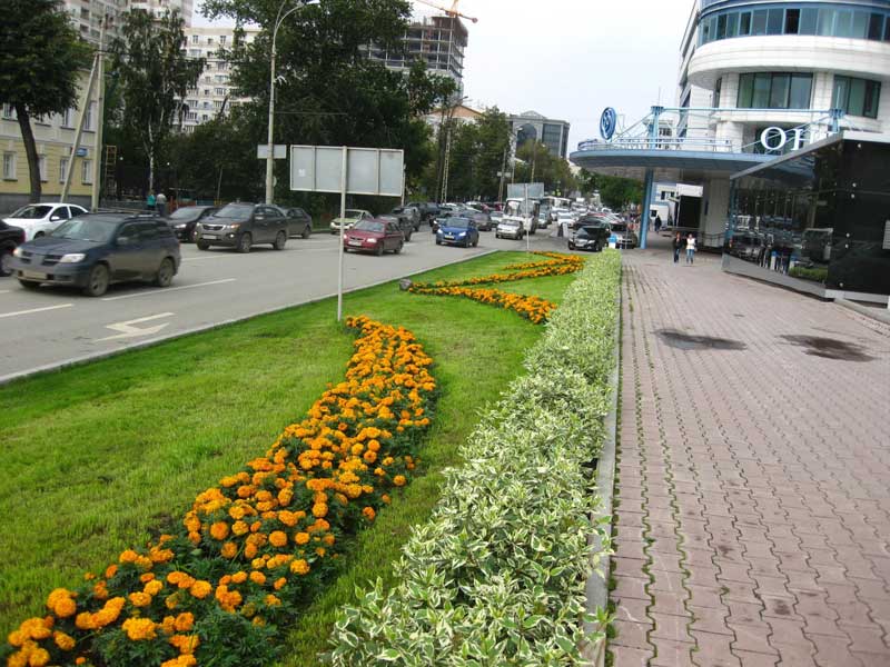 Фото озеленения в городе